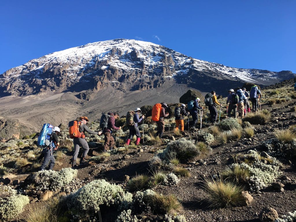 Kilimanjaro-1024x768