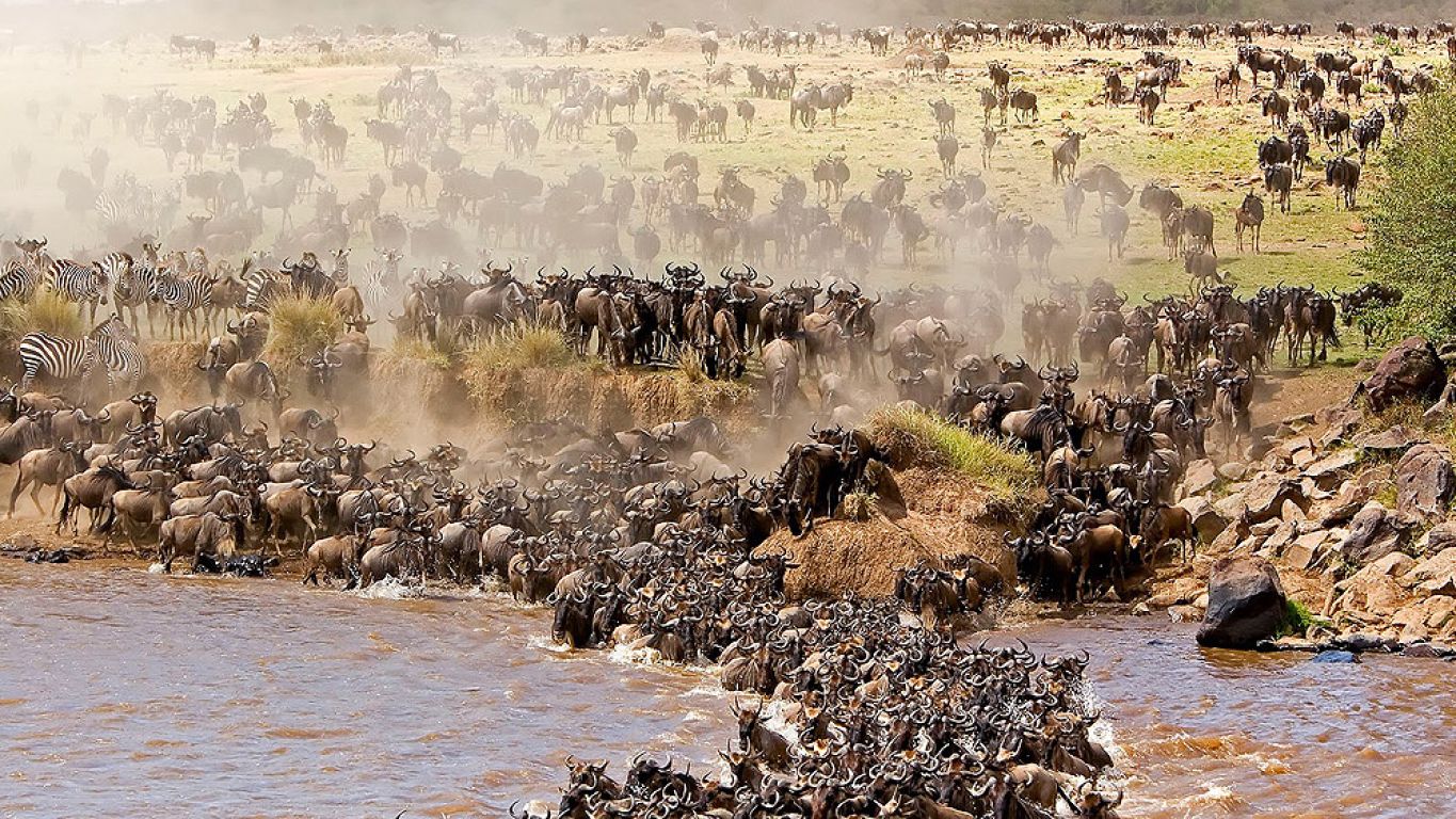serengeti national park.