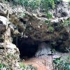 sieni forest and caves