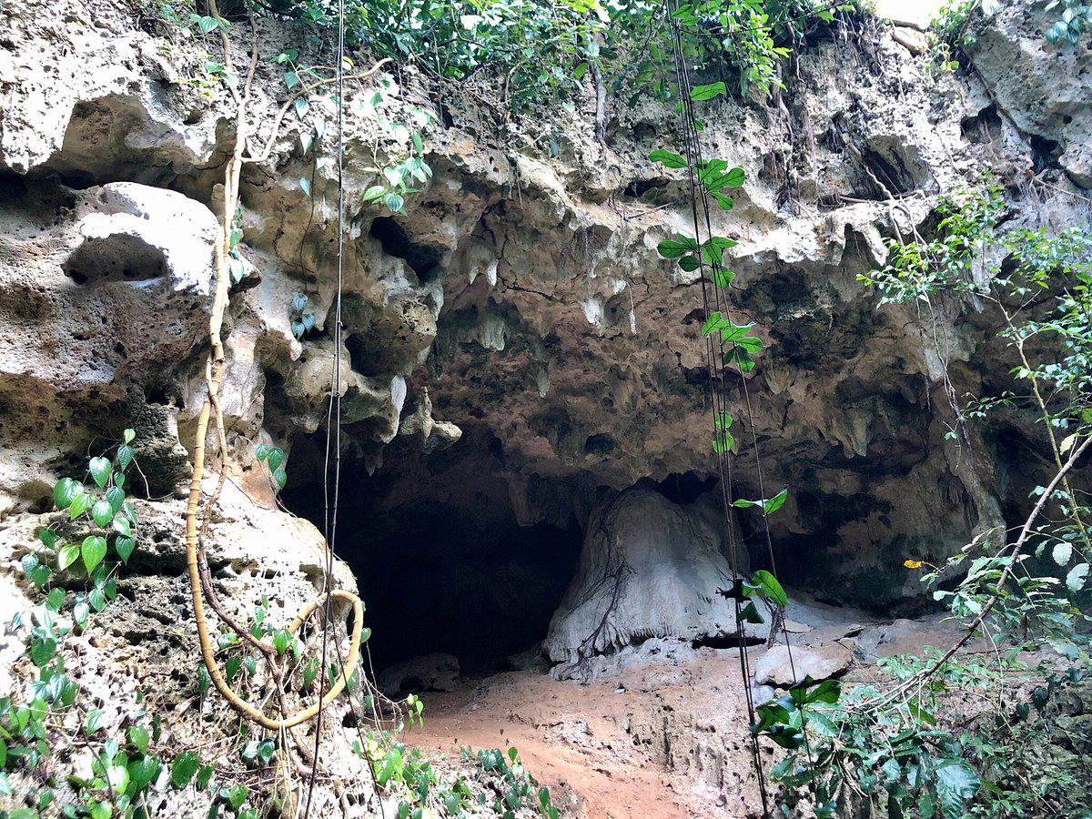 sieni forest and caves